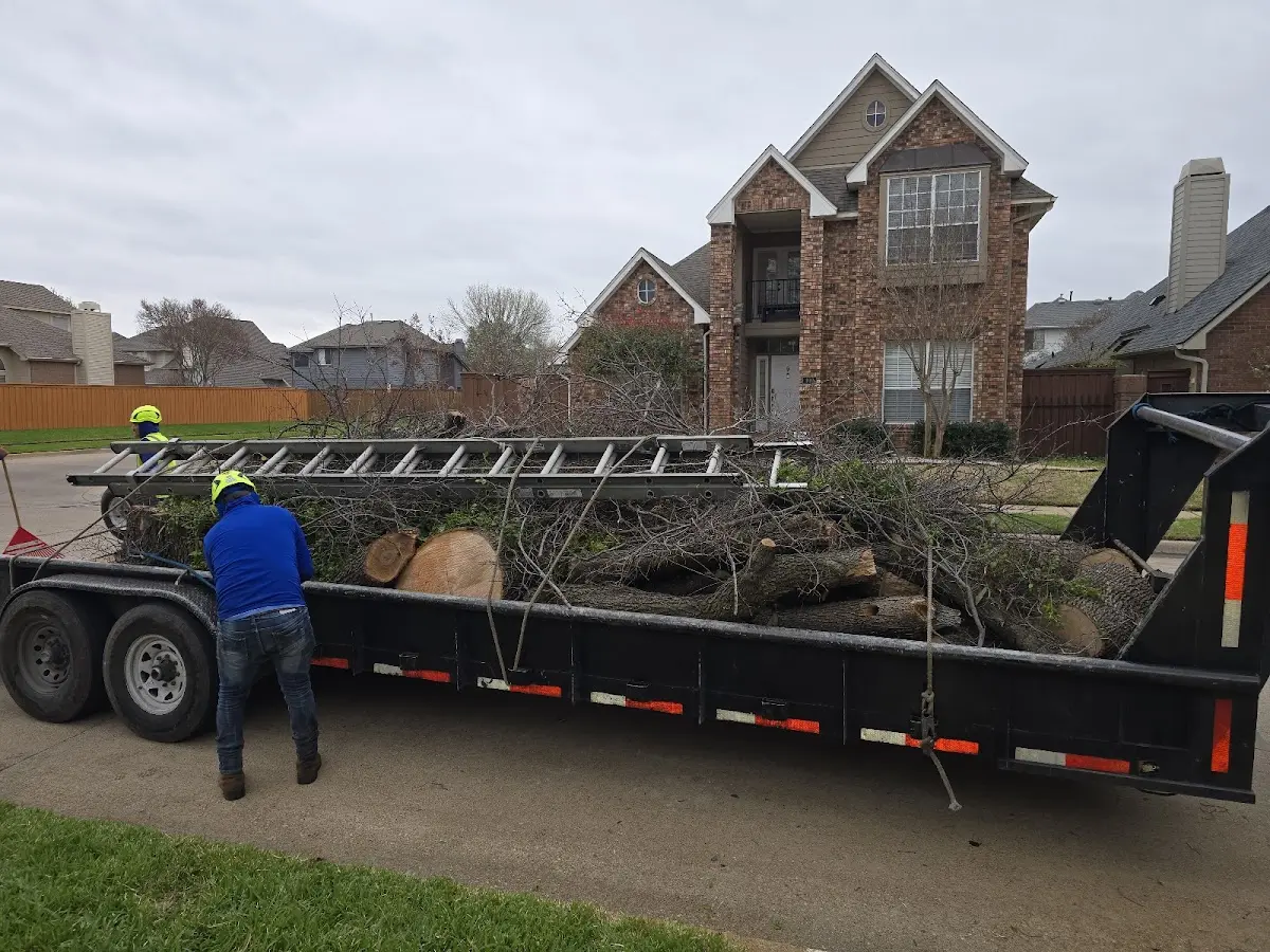 Expert Tree Removal with proper safety equipment in New Riegel